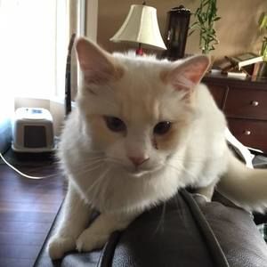 Meet your Posher, Fatima